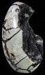 Polished Septarian Geode Sculpture - Black Crystals #55022-1